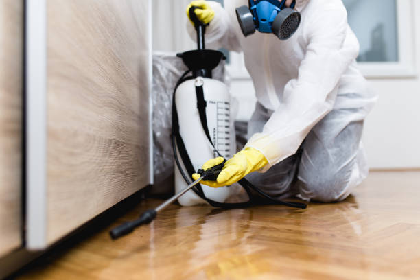 Best Commercial Pest Control Services  in Plains, KS