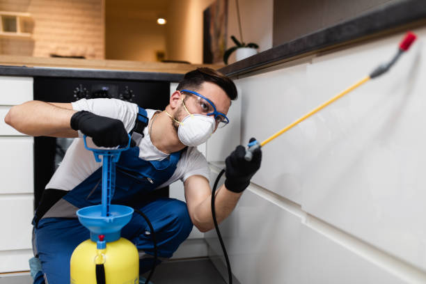 Best Pest Removal Services  in Plains, KS