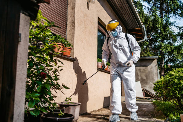 Pest Control for Restaurants in Plains, KS