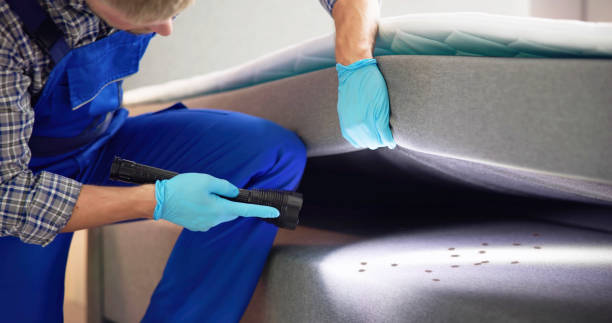 Best Best Pest Control Companies  in Plains, KS