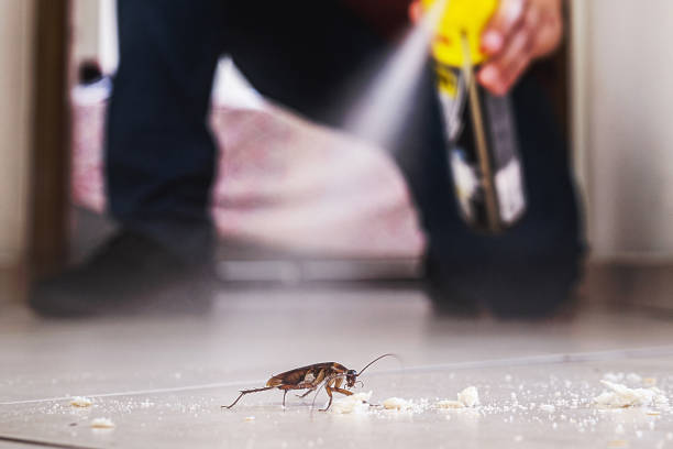 Best Best Pest Control Companies  in Plains, KS