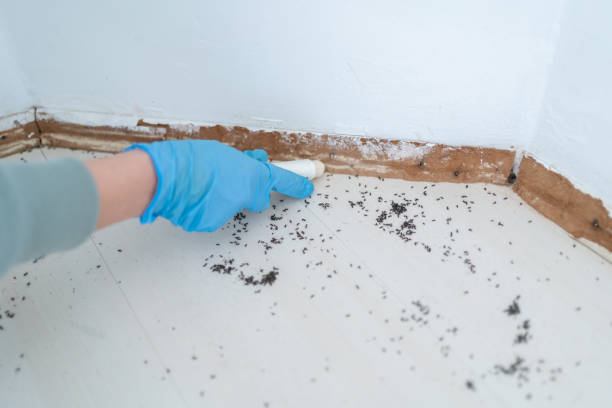 Best Mosquito Control Services  in Plains, KS